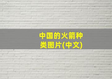 中国的火箭种类图片(中文)