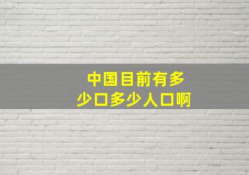 中国目前有多少口多少人口啊