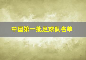 中国第一批足球队名单