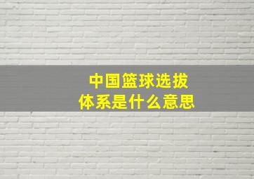 中国篮球选拔体系是什么意思