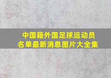 中国籍外国足球运动员名单最新消息图片大全集