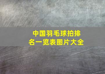 中国羽毛球拍排名一览表图片大全