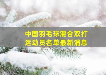 中国羽毛球混合双打运动员名单最新消息