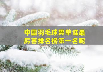 中国羽毛球男单谁最厉害排名榜第一名呢