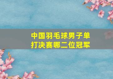 中国羽毛球男子单打决赛哪二位冠军