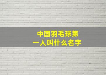 中国羽毛球第一人叫什么名字