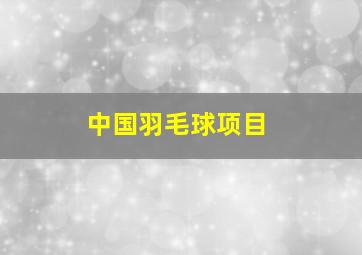 中国羽毛球项目