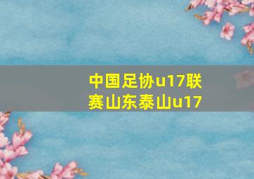 中国足协u17联赛山东泰山u17