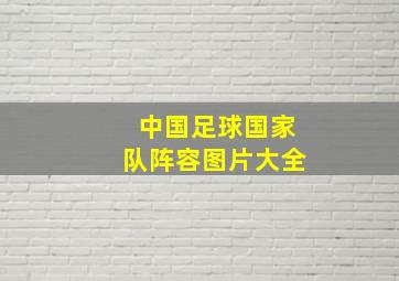 中国足球国家队阵容图片大全