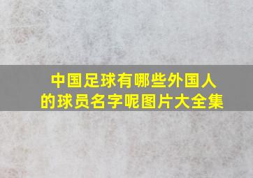 中国足球有哪些外国人的球员名字呢图片大全集