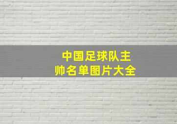 中国足球队主帅名单图片大全