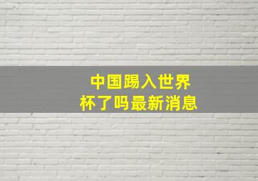 中国踢入世界杯了吗最新消息