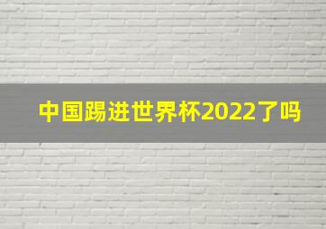 中国踢进世界杯2022了吗