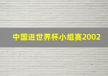 中国进世界杯小组赛2002