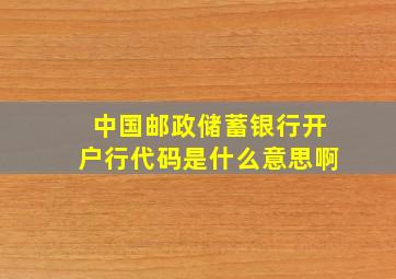 中国邮政储蓄银行开户行代码是什么意思啊