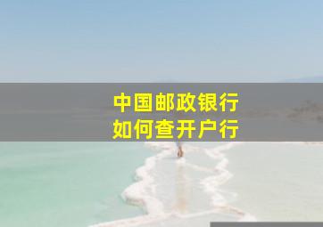 中国邮政银行如何查开户行