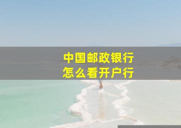 中国邮政银行怎么看开户行