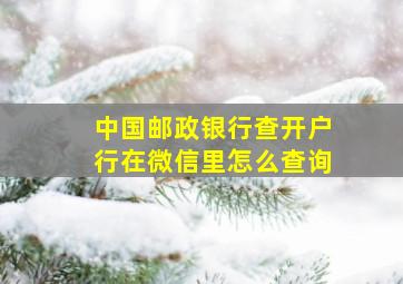 中国邮政银行查开户行在微信里怎么查询