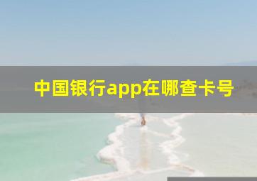 中国银行app在哪查卡号