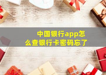 中国银行app怎么查银行卡密码忘了