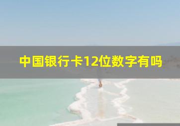 中国银行卡12位数字有吗