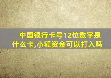 中国银行卡号12位数字是什么卡,小额资金可以打入吗