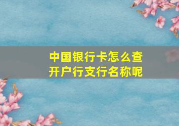 中国银行卡怎么查开户行支行名称呢