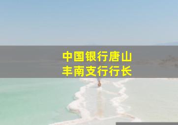 中国银行唐山丰南支行行长