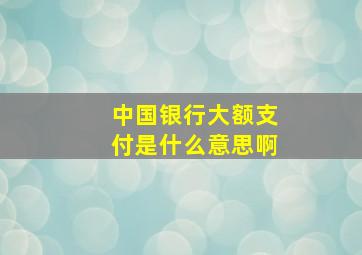 中国银行大额支付是什么意思啊