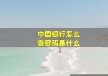 中国银行怎么查密码是什么