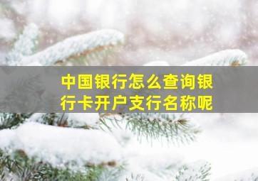 中国银行怎么查询银行卡开户支行名称呢