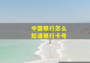 中国银行怎么知道银行卡号