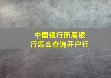 中国银行所属银行怎么查询开户行