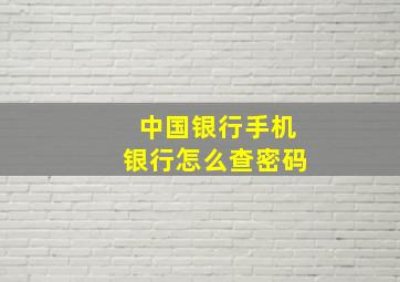 中国银行手机银行怎么查密码