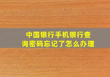 中国银行手机银行查询密码忘记了怎么办理