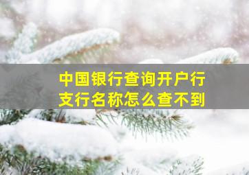 中国银行查询开户行支行名称怎么查不到