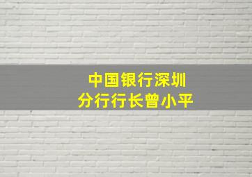 中国银行深圳分行行长曾小平