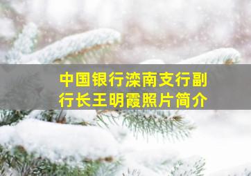 中国银行滦南支行副行长王明霞照片简介