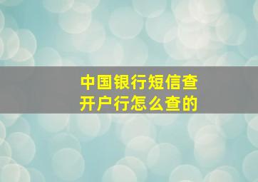 中国银行短信查开户行怎么查的