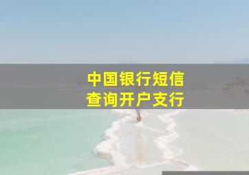 中国银行短信查询开户支行