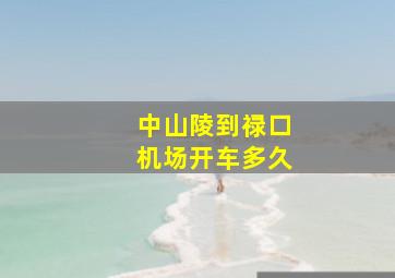 中山陵到禄口机场开车多久