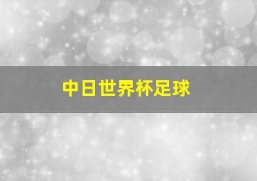 中日世界杯足球