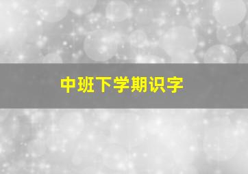 中班下学期识字