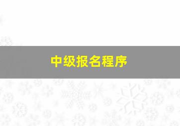 中级报名程序