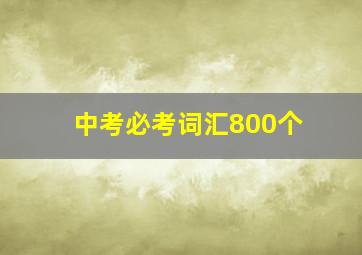 中考必考词汇800个