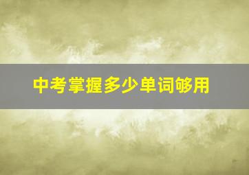 中考掌握多少单词够用