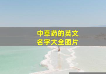 中草药的英文名字大全图片