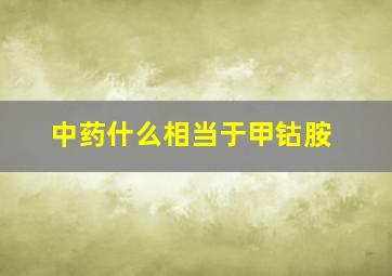 中药什么相当于甲钴胺