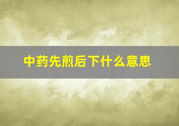 中药先煎后下什么意思