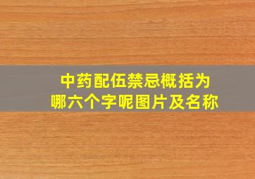 中药配伍禁忌概括为哪六个字呢图片及名称